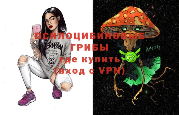 кокс Каменка