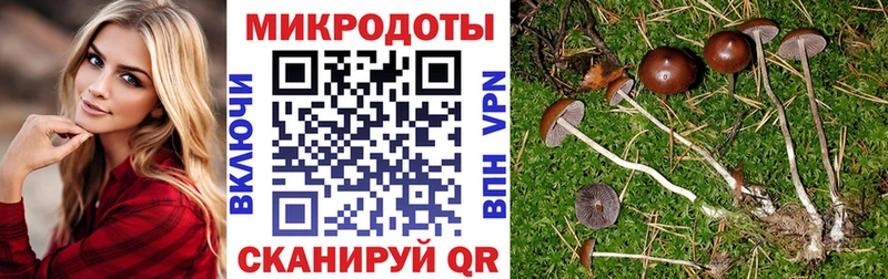 Купить закладки  Ишимбай  Галлюциногенные грибы Cubensis 